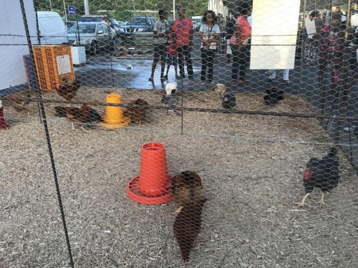 Vente de matériaux pour animaux Saint-Esprit